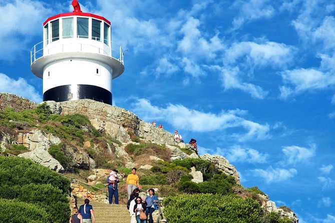 1 Day Cape Point Explore With Boulders Penguins Small Group Tour - Common Questions