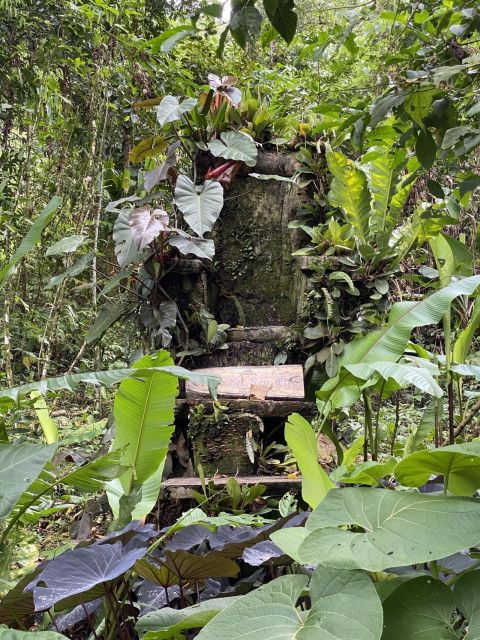 1 Day Cerro Tusa Natural Spring Moto Tour - Good To Know
