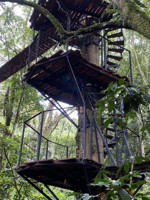 1 Day Cerro Tusa Natural Spring Moto Tour - Cancellation and Refund Policy