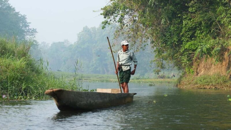 1 Day Chitwan: Jungle Safari, Canoe Ride, Tharu Dance Show - An In-Depth Look at What This Tour Offers