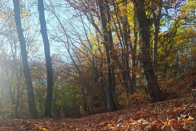 1 Day Chortiatis mt Thessaloniki Hiking Tour with Hotel Pickup - An In-Depth Look at the Chortiatis Mountain Hiking Experience