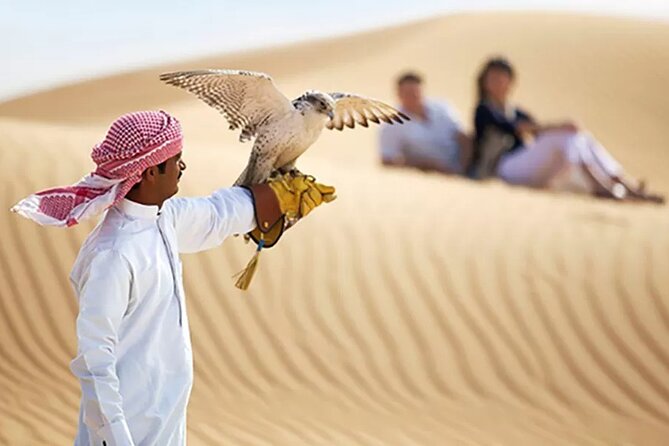 1 Day Combo: Dubai City Tour & Evening Desert Safari With BBQ Dinner - Overview of the Dubai City Tour & Evening Desert Safari