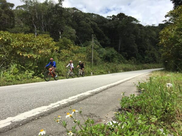 1 Day Cycling to Mui Ne From Dalat - What to Expect