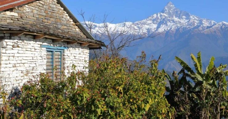 1 Day Dhampus Trek - Experience