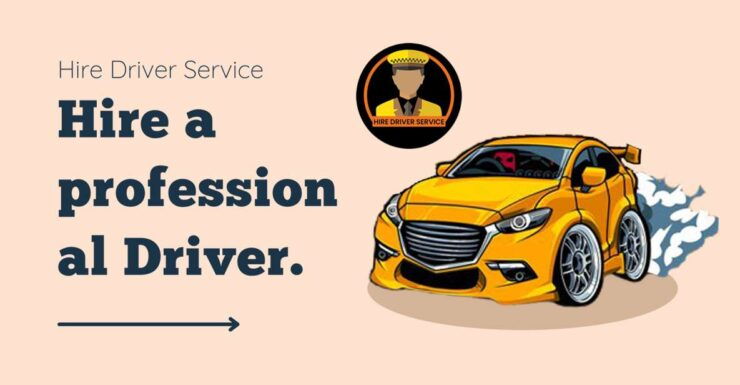 1 Day Driver Hire in Kathmandu or Pokhara - Experience Highlights