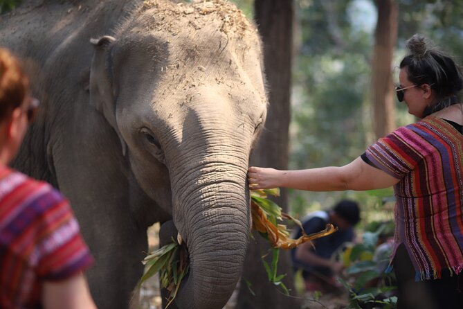 1 Day Eco Elephant Excursion - Additional Information