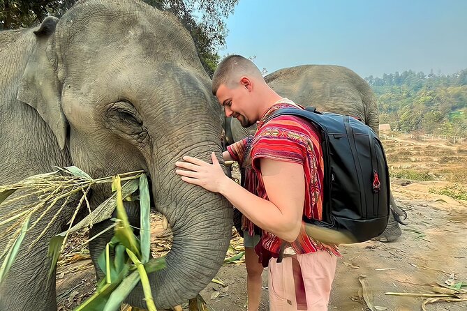 1 Day Eco Elephant Excursion - Cancellation Policy