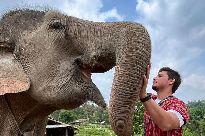 1 Day Eco Elephant Excursion - Directions