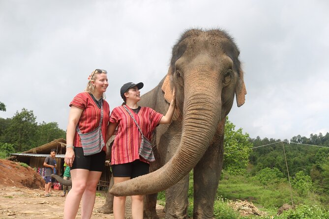 1 Day Eco Elephant Excursion - Common Questions