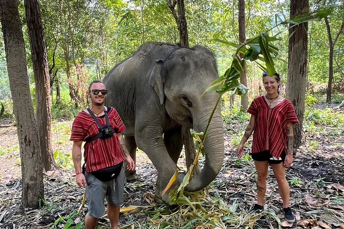 1 Day Eco Elephant Excursion - The Sum Up