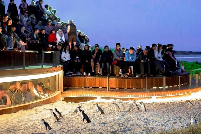 1 Day Exclusively Private Tour Of Phillip Island & The Penguin Parade - Pickup Details