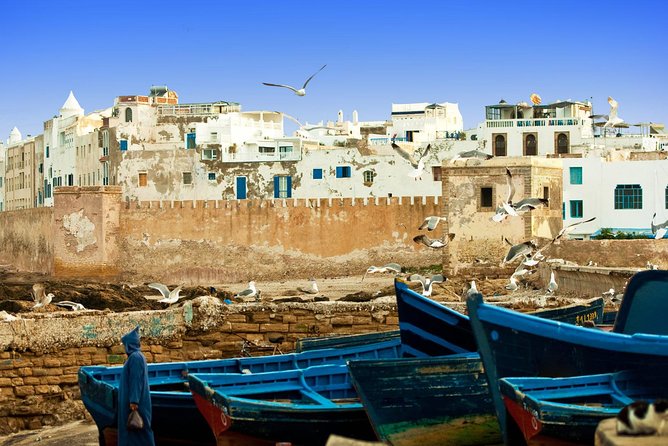 1 Day Excursion From Marrakech to Essaouira - Local Cuisine and Dining Options