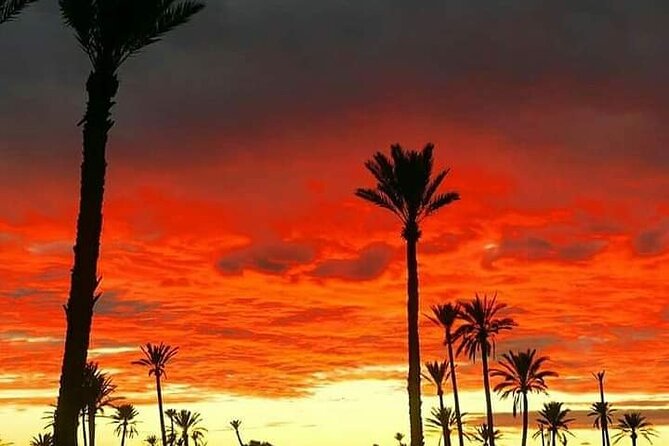 1 Day Excursion From Marrakech to Imlil - Highlights of the Day Trip