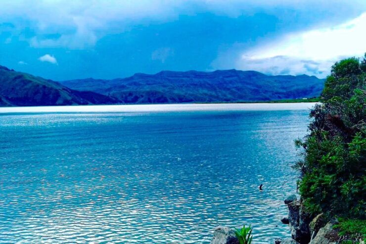 1 Day Excursion to Qeswachaka Bridge and the 4 Lagoons - Good To Know