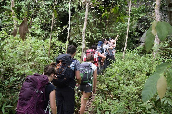 1 Day Experience of Bahorok - Authentic Experiences and Insights from Reviews