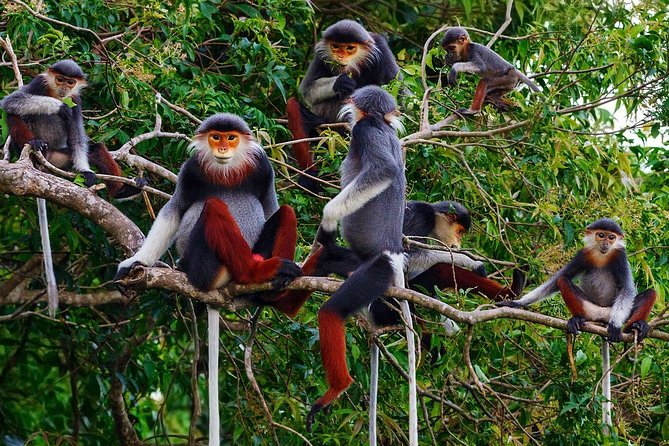 1-Day Explore Cuc Phuong National Park From Hanoi - How to Get to Cuc Phuong National Park From Hanoi