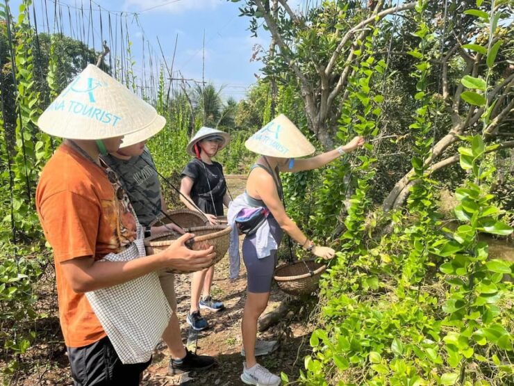 1-Day Explore Non-Touristy Side Of Mekong Delta Group 10 Max - Itinerary and Activities