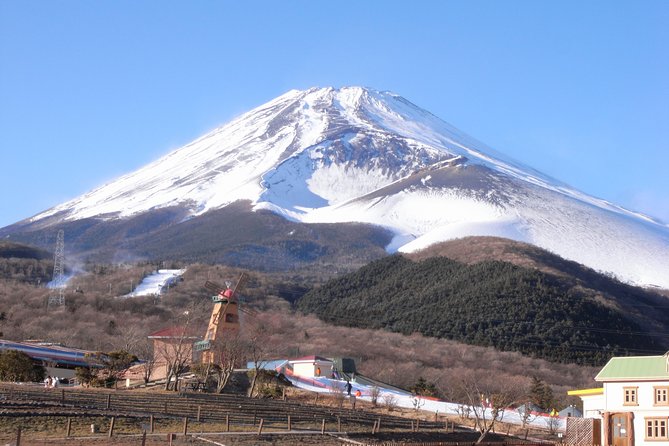 1 Day Family Fun at Fuji Private Tour - Itinerary Overview