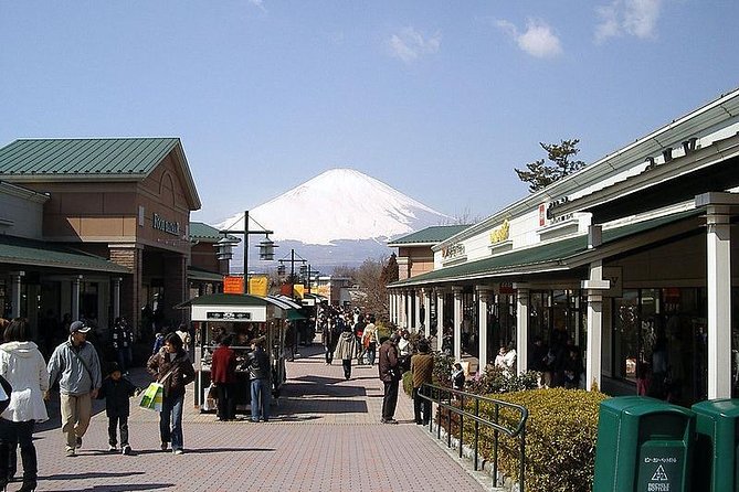 1 Day Family Fun at Fuji Private Tour - Dining Options