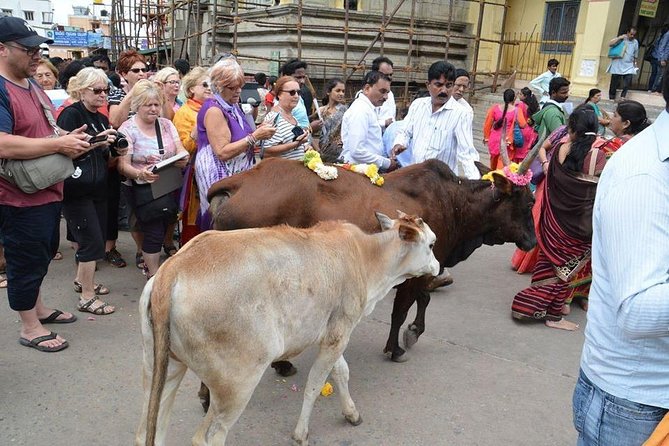 1- Day Golden Triangle Tour to Agra Jaipur From Delhi - Good To Know