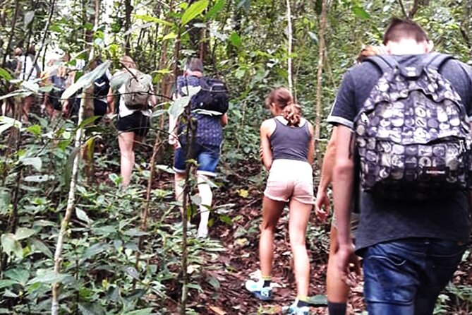 1 Day Green Chiang Mai City Hike, Bike and Kayak Passage - Inclusions