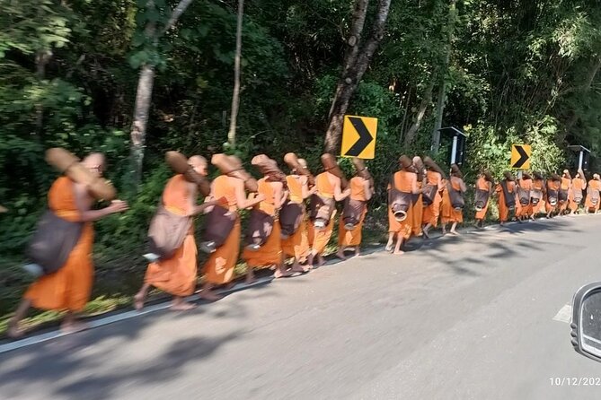 1 Day Green Chiang Mai City Hike, Bike and Kayak Passage - The Sum Up