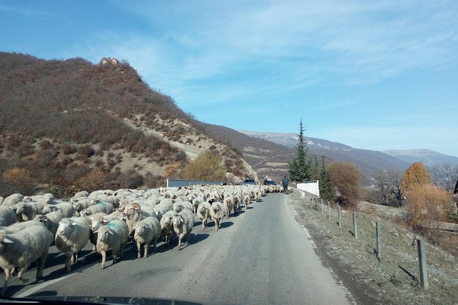 1 Day Gudauri and Kazbegi Private Tour-By Travel Master (Georgia) - Additional Information