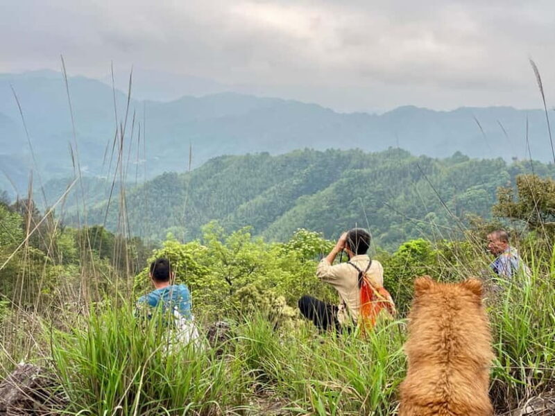 1 Day Guilin Tour: Village Visit, Waterfall Viewing, Hiking - Final Thoughts: Is This Tour Worth It?