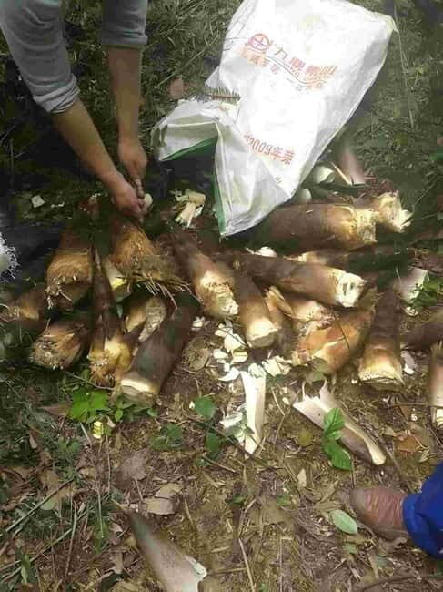 1 Day Guilin Tour: Village Visit, Waterfall Viewing, Hiking - FAQ