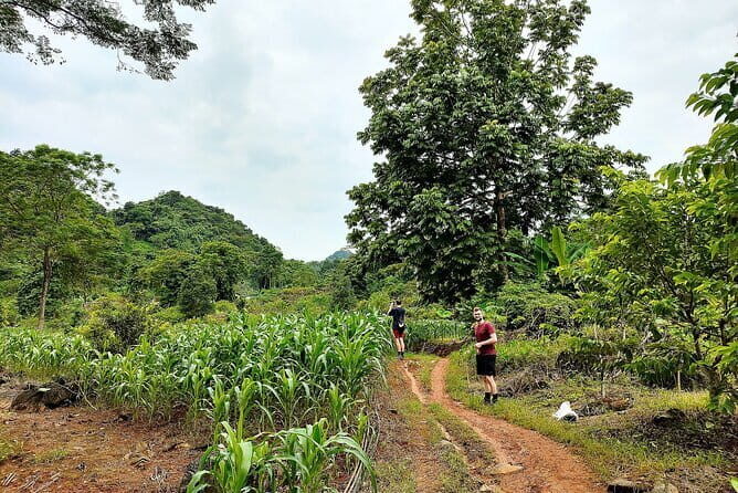 1 Day Ha Giang Loop Tour by Motorbike with Easy Rider - Loopers - Who Will Enjoy This Tour?