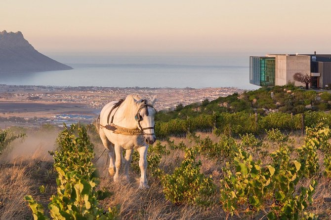 1 Day Helderberg Valley Winelands Tour With Private Transfers - Inclusions