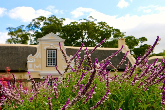 1 Day Helderberg Valley Winelands Tour With Private Transfers - Wine Tasting and Pairings