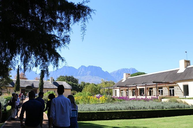 1 Day Helderberg Valley Winelands Tour With Private Transfers - Traveler Photos