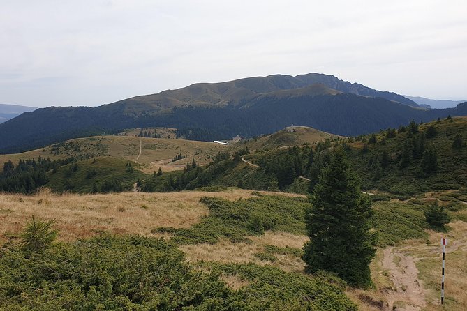 1 Day Hike to Ciucas Peak (1954m) - Group Size Limit