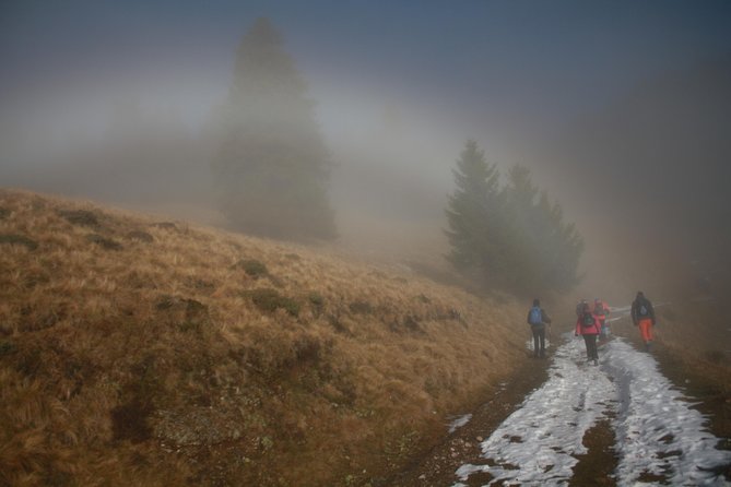1 Day Hike to Ciucas Peak (1954m) - Pricing Details