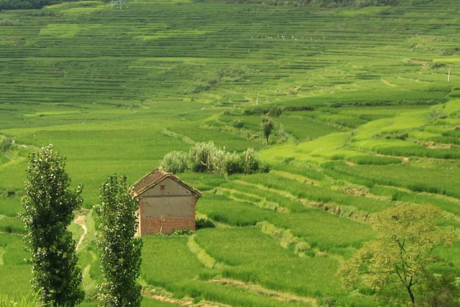 1 Day Hike to Phulchwoki - The Sum Up