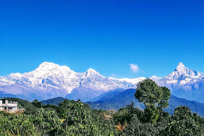 1 Day Hiking Austrian Camp & Dhampus - Exploring Dhampus Village