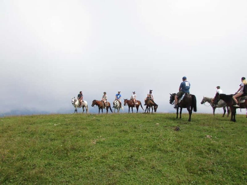 1 Day Horse Riding Adventure in Borjomi Mountains - Introduction