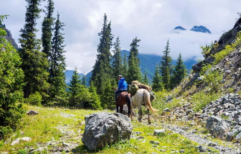 1 Day Horse Riding Adventure in Borjomi Mountains - Good To Know