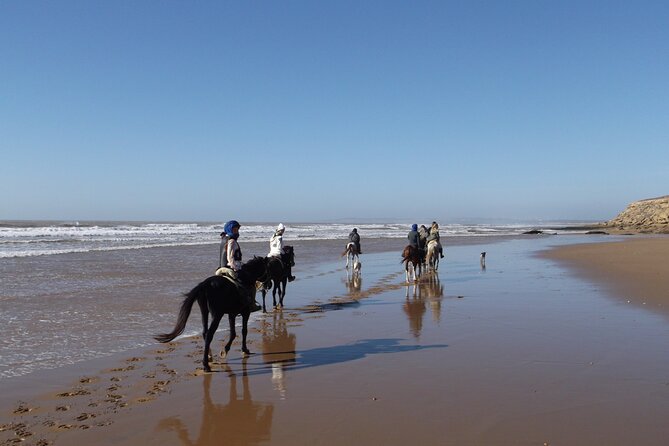 1 Day Horseback Ride With Lunch - Common Questions