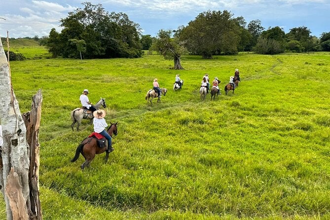 1 Day Horseback Riding at a Real Ranch From Medellin - Good To Know