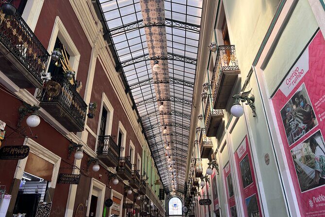 1 day in Puebla and Cholula in private tour from Mexico city - Authentic Feedback & Insights