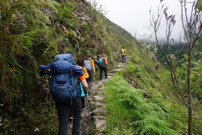 1 Day Inca Trail Tour to Machu Picchu Hike - Highlights of the Trail