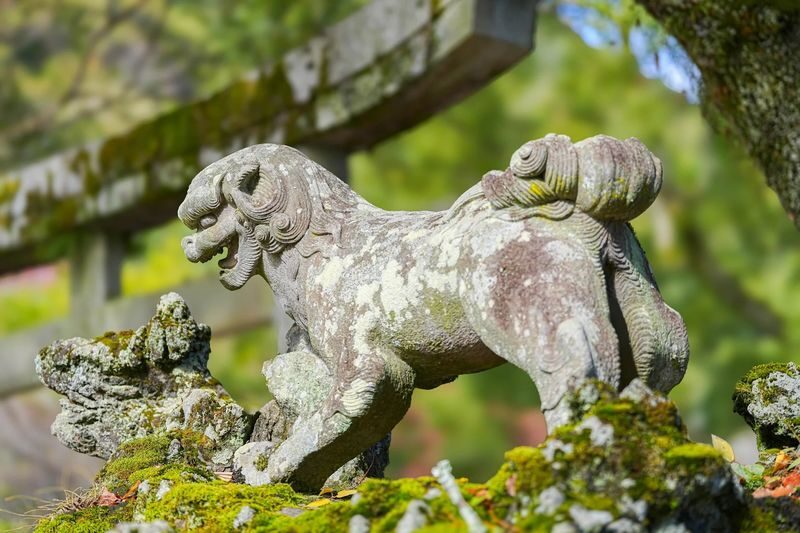 1-Day Iwakuni Tour: Kintaikyo Bridge, Castle Town & Seal Engraving - What the $187.99 price covers