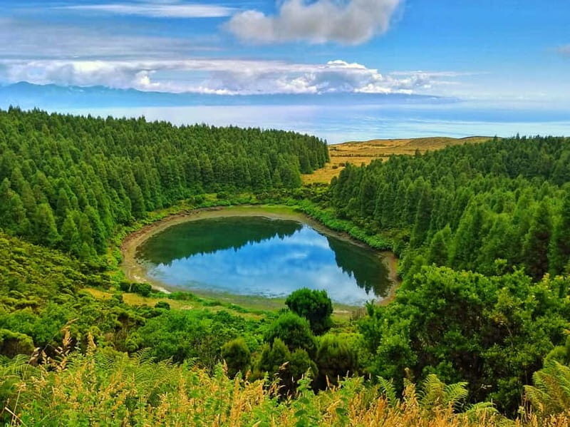 1-day jeep tour on the island of Pico - Azores - An In-Depth Look at the Pico Jeep Tour