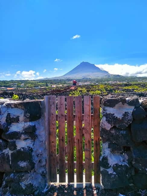 1-day jeep tour on the island of Pico - Azores - Who This Tour Is Best For