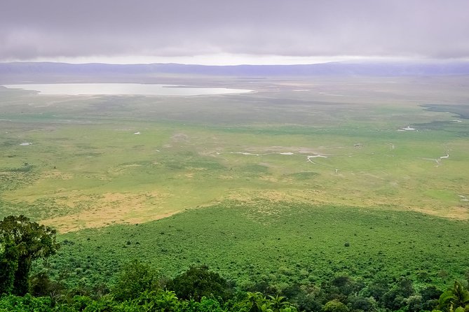 1 Day Joined Group Safari in Ngorongoro Crater National Park - Pickup Information