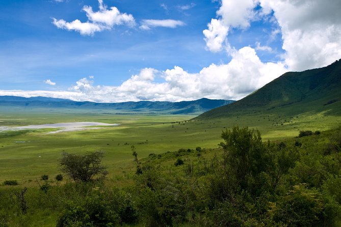 1 Day Joined Group Safari in Ngorongoro Crater National Park - Additional Information