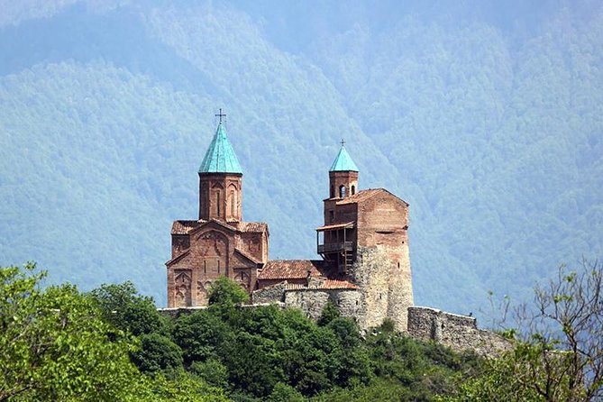1 Day Kakheti Private Tour - Included Services