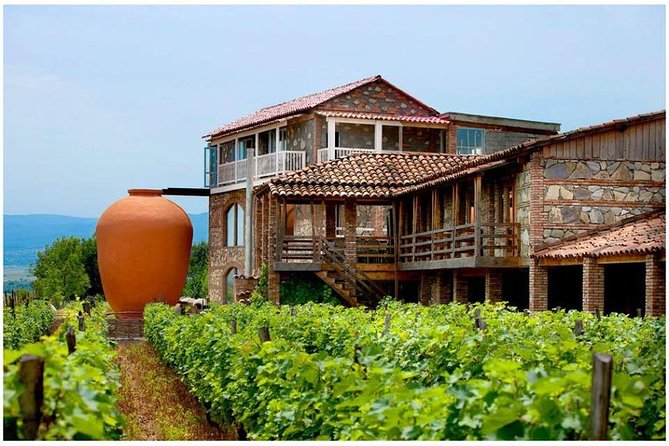 1 Day Kakheti Private Tour - Excluded Items